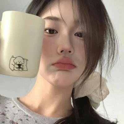 驯鹿总动员