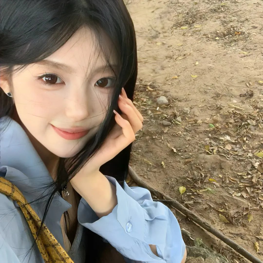 凤舞花飞